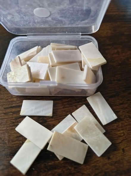 Photo of free Mother-of-Pearl (Fiveways Brighton) #1