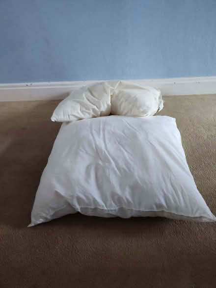 Photo of free Cushion inserts (Cowley OX4) #1