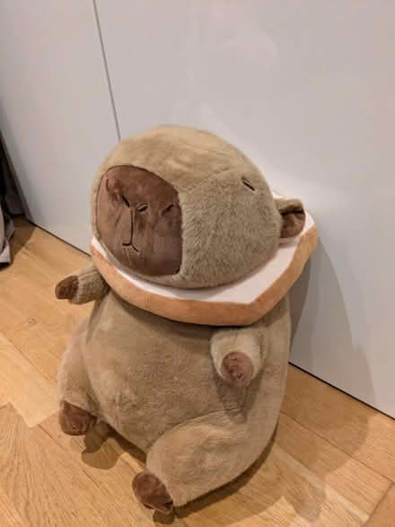 Photo of free Plash, soft toy, medium Capybara (Earley, RG6) #1
