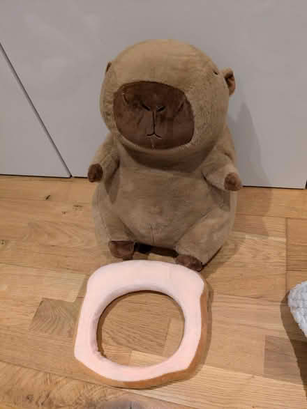 Photo of free Plash, soft toy, medium Capybara (Earley, RG6) #3