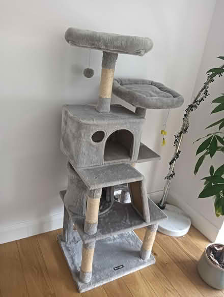 Photo of free Multi-level cat tree (W5) #2