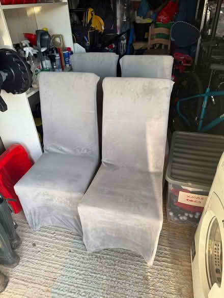 Photo of free Dining room chairs (Nantwich Cheshire) #1