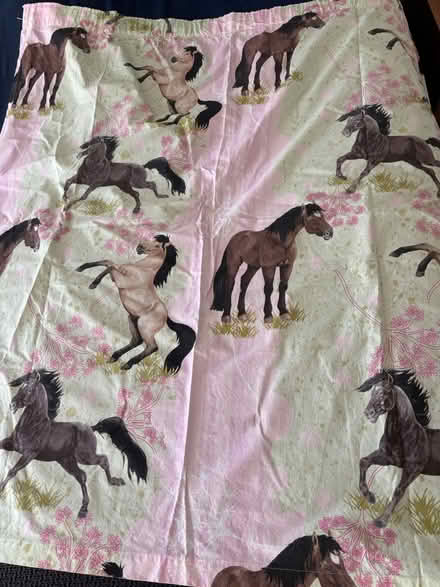 Photo of free Kids pony curtains (Glasgow Parkhead G31) #1