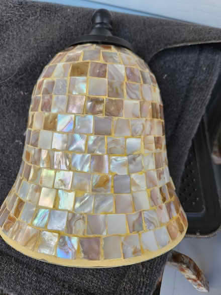 Photo of free Shell Sconce (Montclair, VA) #1