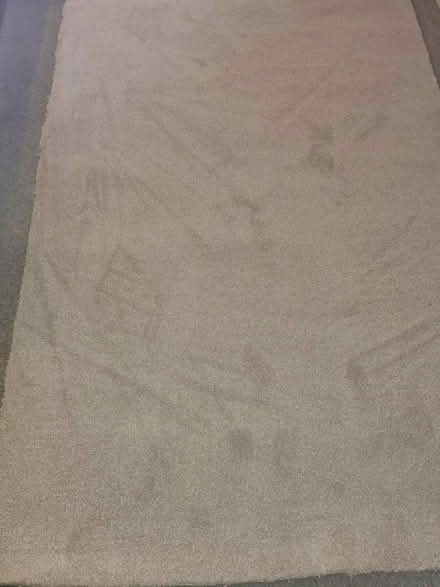Photo of free Mottled beige capet off cut (Woodingdean) #1