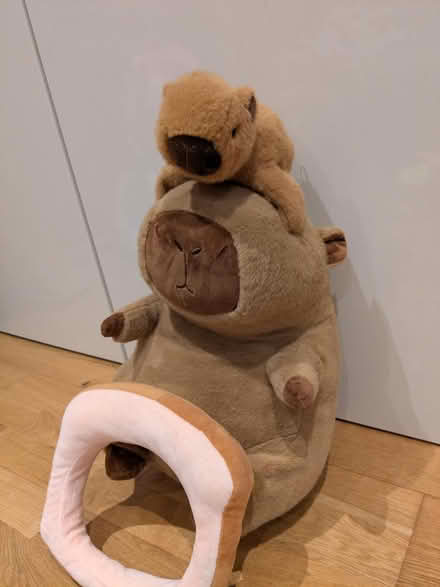 Photo of free Plash, soft toy, medium Capybara (Earley, RG6) #4