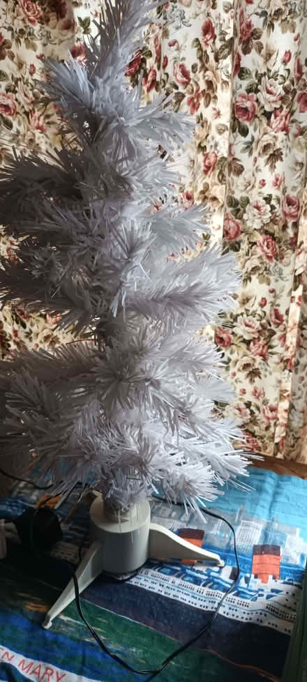 Photo of free Fibre Optic Christmas Tree (Higher Brixham TQ5) #1