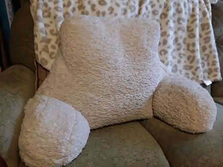 Photo of free Back/Lumber Support Cushion (Burneside LA8) #1