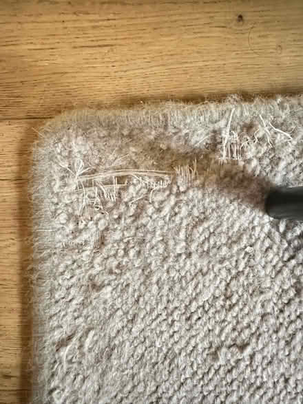 Photo of free Beige hand knotted Wool Rug (Clerkenwell EC1R) #2