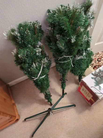 Photo of free Christmas tree (Westgate LA4) #1