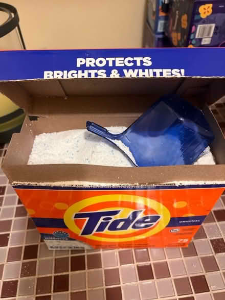 Photo of free Tide laundry Detergent (Las Palmas Park, Sunnyvalr) #2