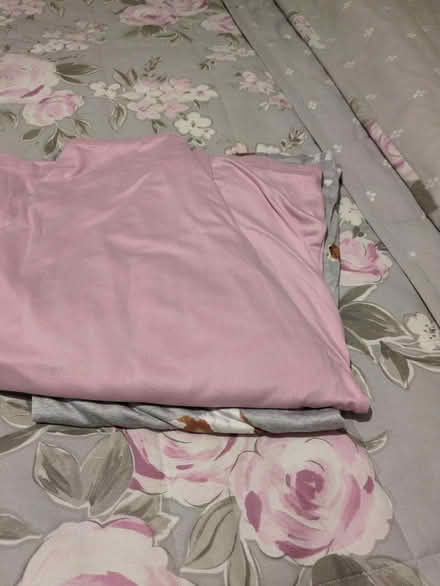 Photo of free Ladies clothes (Nr chichester west sussex) #3