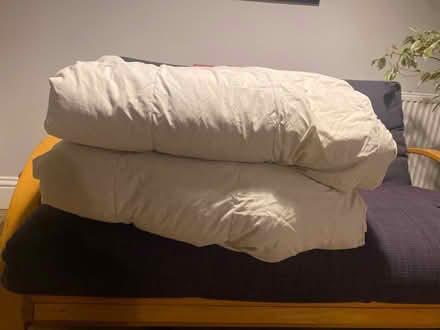 Photo of free 2 x single feather and down duvet (Chalfont St Peter SL9) #1