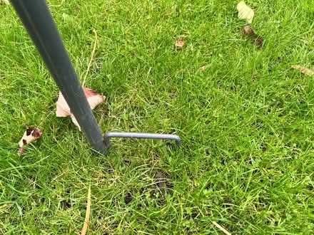 Photo of free Bird feeder pole organic shape (Barnes SW13) #4