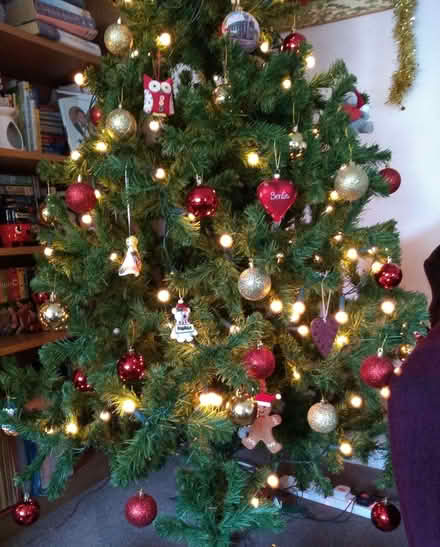 Photo of free 6ft Christmas Tree (Garforth LS25) #1