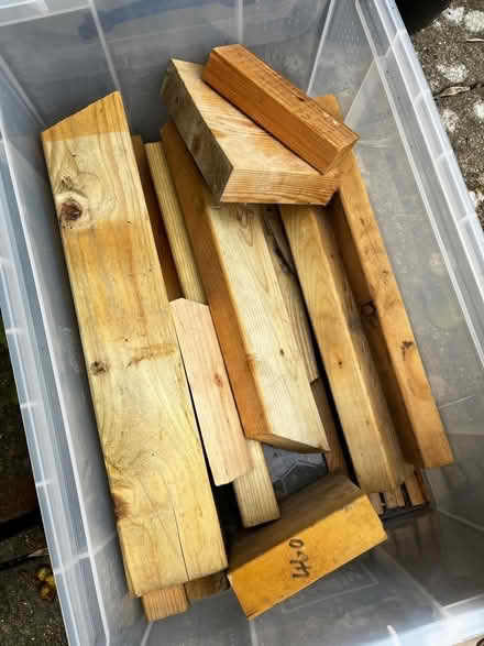 Photo of free Timber of cut (Rottingdean BN2) #1