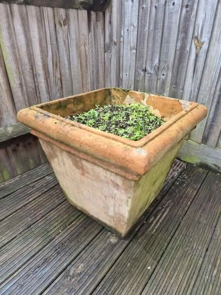 Photo of free Large Terracotta Planters (CT2) #3