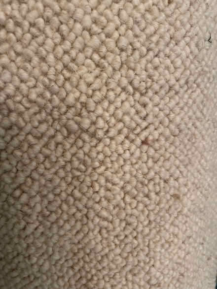 Photo of free Cream loop pile carpet remnant (Dean EH4) #1