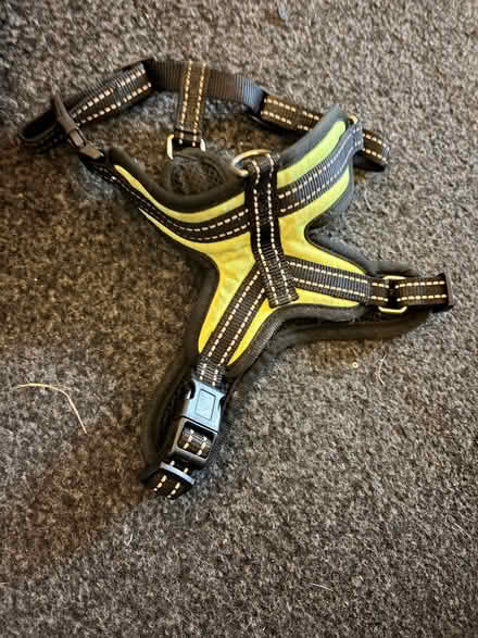 Photo of free Small dog harness (Bracknell’s RG42) #1