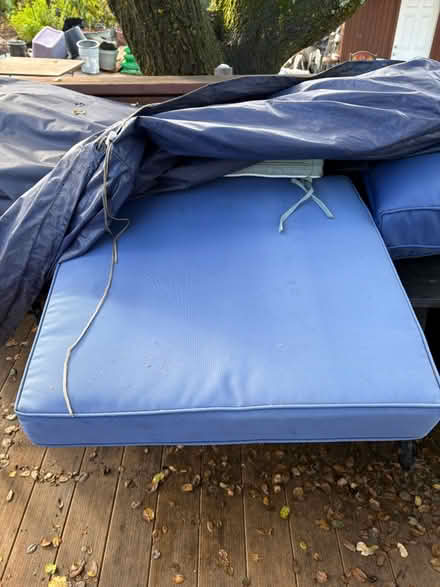 Photo of free outdoor cushions (Redwood City) #3