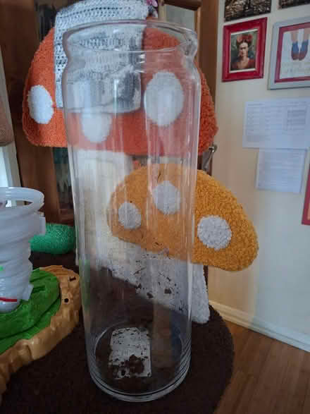 Photo of free Orchid vase, Old Woking (Woking, GU22) #1