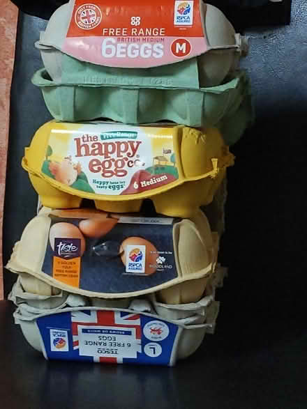 Photo of free Empty egg cartons (Ewell KT19) #1