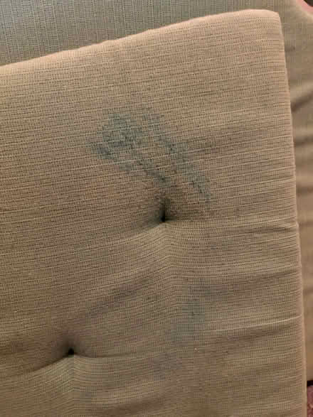 Photo of free IKEA Chair cushions (Twickenham TW1) #3