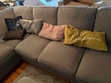 Photo of free Sofa cushions (Willow Glen) #1