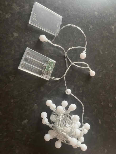 Photo of free Xmas lights (Carlton NG4) #1