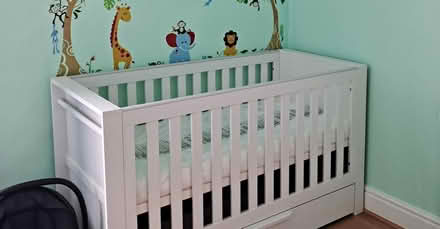 Photo of free cot and mattress (Bradway S17) #1