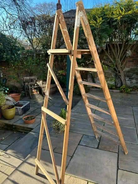 Photo of free 6ft wooden step ladder (Marden, Devizes SN10) #2