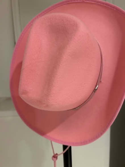 Photo of free Pink Cowboy hat (Marden, Devizes SN10) #2