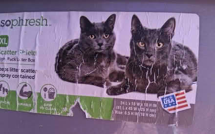 Photo of free 2 large kitty litter boxes (Cambridgeport, near Dana Park) #2