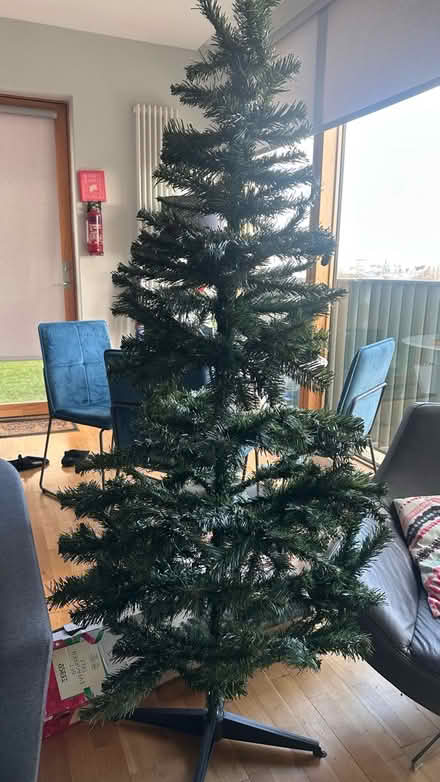 Photo of free Tesco Christmas tree (Dublin 8) #1