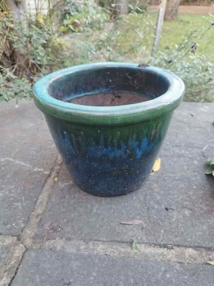 Photo of free Flower pots (Teddington TW11) #3