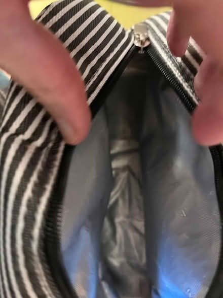 Photo of free Insulated B&W Lunch Bag (west of Watertown Square) #2