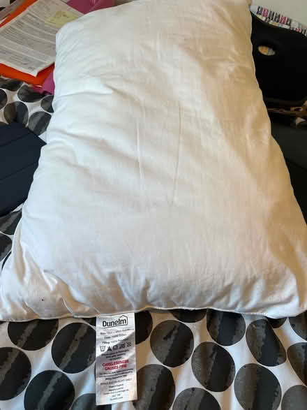 Photo of free Two pillows (Cambridge CB1 (Romsey)) #1