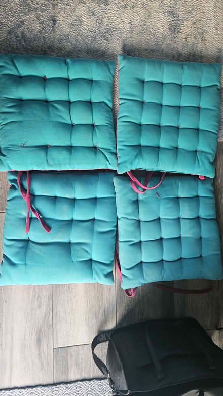 Photo of free Garden cushion (Manchester M40) #1