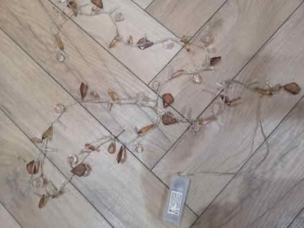 Photo of free Fairy lights (Odd Down, BA2) #1