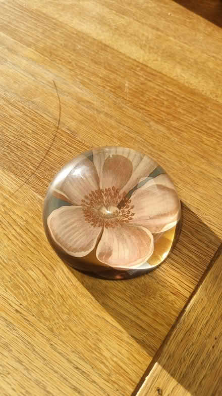 Photo of free Paperweight (Cardonald G52) #1