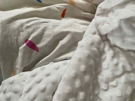 Photo of free Beddy’s twin size bedding (Bascom/Union Campbell) #3