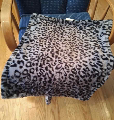 Photo of free Floppy pet cushion (Cambridgeport, near Dana Park) #1