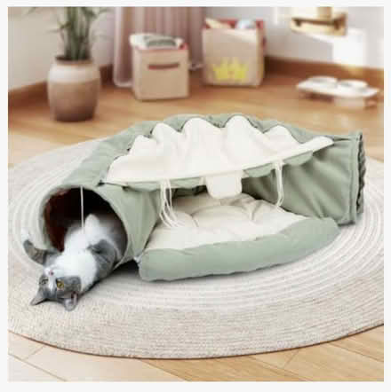 Photo of free cat tunnel (Bellevue crossroads) #1