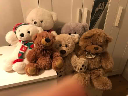 Photo of free Cuddly teddy bears (Whitchurch CF14) #1