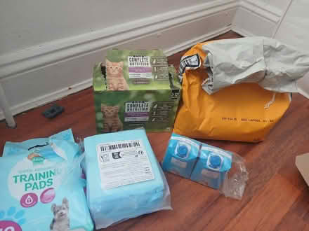 Photo of free Kitten stuff (NW2) #1