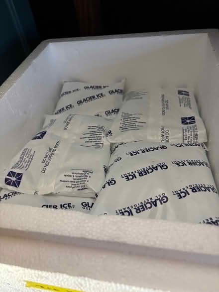 Photo of free Gel ice packs (Woodside) #1