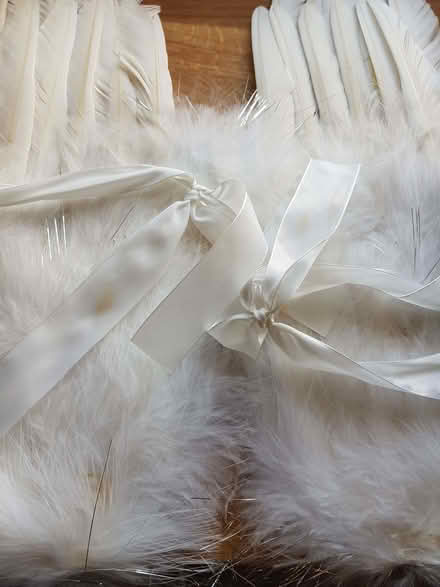 Photo of free Angel wings & wigs (Kendal LA9) #2