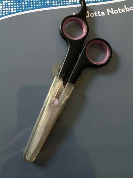 Photo of free Hairdressing scissors (SW11) #1