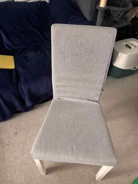 Photo of free Pair of ikea dining chairs with grey removable covers (Hook KT6) #1