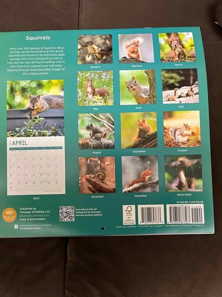 Photo of free 2023&2024 Squirrel Wall Calendars (Wallingford) #1